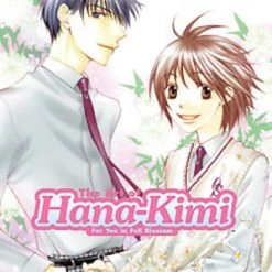SHOJO BEAT The Art Of Hana-Kimi