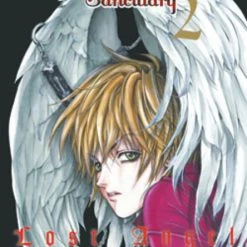 VIZ BOOKS The Art Of Angel Sanctuary Book 2 Lost Angel