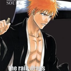 VIZ BOOKS Bleach Character Book 1 SOULs