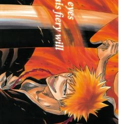 VIZ BOOKS Bleach Character Book 1 SOULs -Art Books Sales 9781421520537 manga Bleach SOULs. Official Character Book 1 sample3