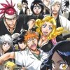 VIZ BOOKS Color Bleach+ Bleach Official Bootleg Artbook -Art Books Sales 9781421532271 books Color Bleach The Bleach Official Bootleg Book Color primary