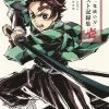 VIZ BOOKS The Art Of Demon Slayer Kimetsu No Yaiba The Anime -Art Books Sales 9781974739011 artbook the art of demon slayer kimetsu no yaiba the anime primary