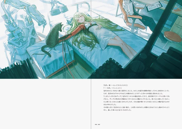 PIE INTERNATIONAL Hyka Reoenl Artwork International Edition Artbook 7 PIE INTERNATIONAL Hyka Reoenl Artwork International Edition Artbook - Image 5